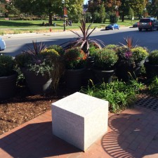 Planted pots Kingman St.